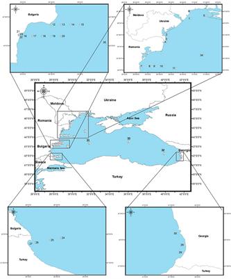 Distribution of Different Scrippsiella acuminata (Dinophyta) Cyst Morphotypes in Surface Sediments of the Black Sea: A Basin Scale Approach